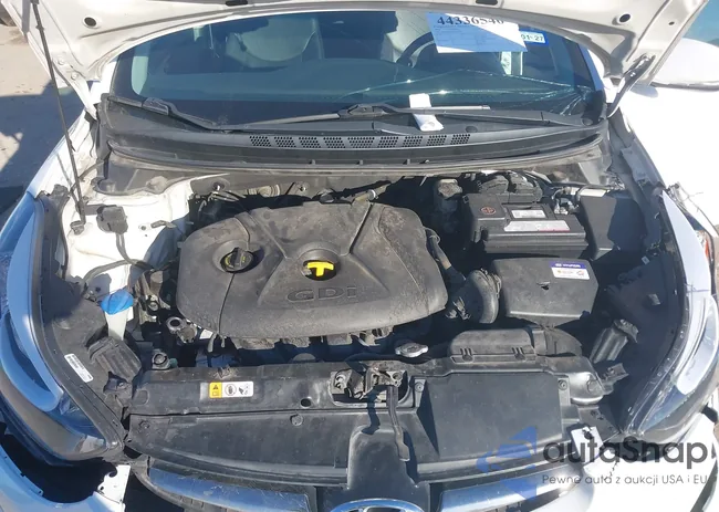 KMHDH4AH8FU249939: 44336540