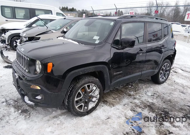 ZACCJBBB6JPJ11679: 44336549