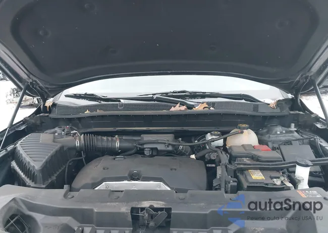 3GNKBBRA4MS517785: 44335912