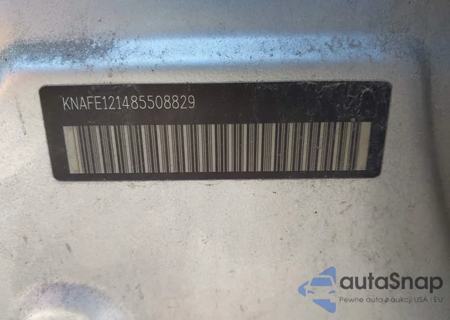 KNAFE121485508829: 44336560