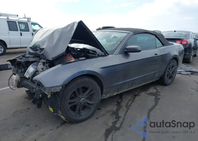 1ZVBP8EM2E5219919: 44338001