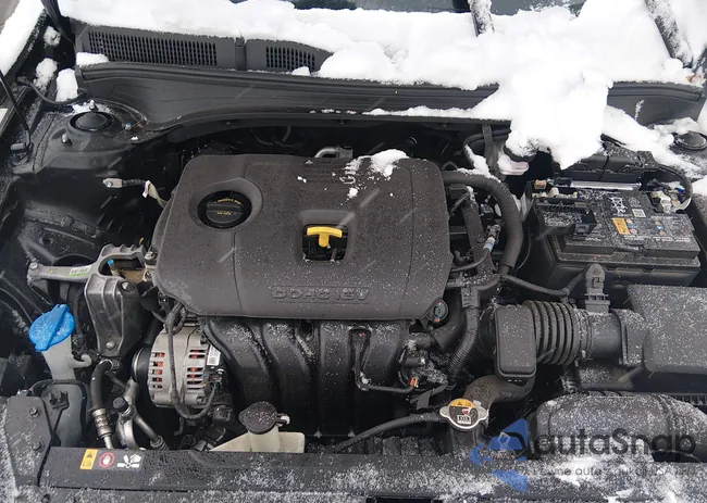 3KPF54ADXPE602426: 44338170