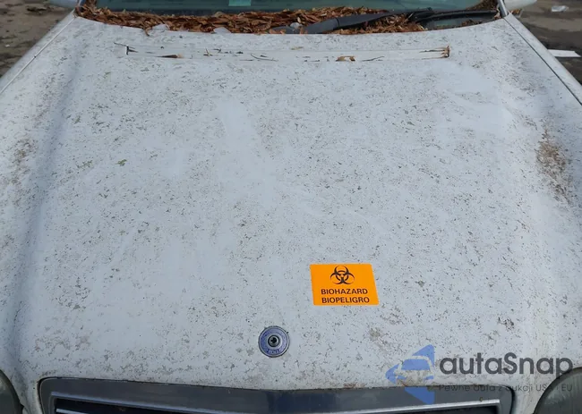 WDBJH65F9XA896976: 44339116