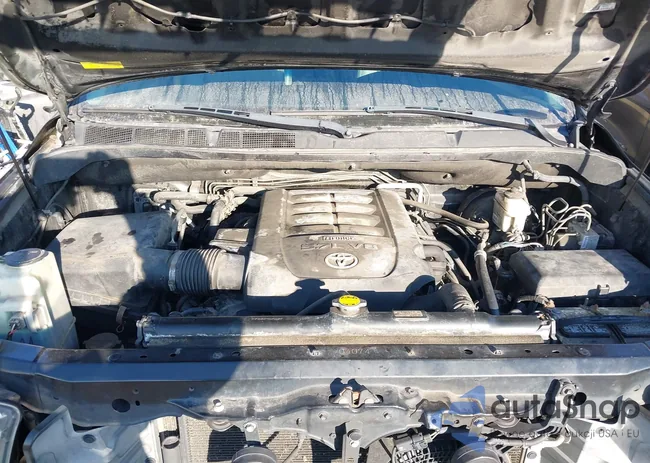 5TDDW5G19CS059013: 44339264