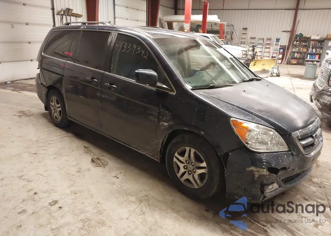 5FNRL38717B013014: 44339342