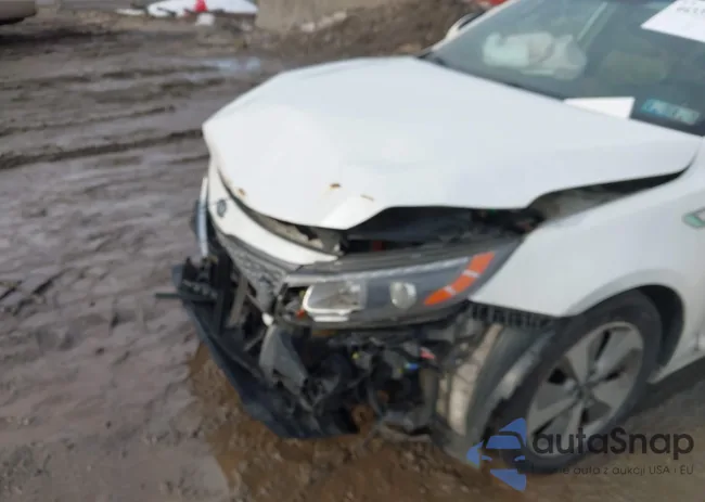 KNAGN4AD9F5091142: 44339354