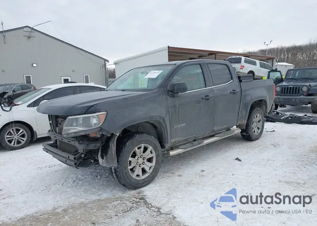 1GCGSCEN4J1313577: 44339394