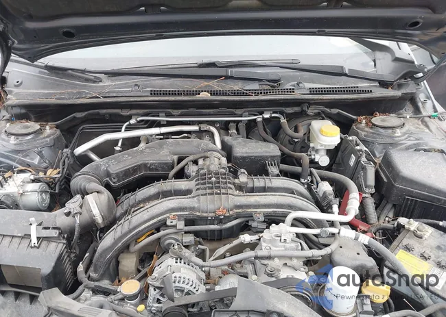 JF2GTAPC9MH393095: 44339530