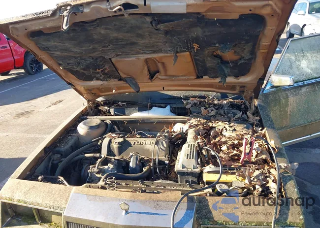 1C3BT56E2FC208053: 44338859