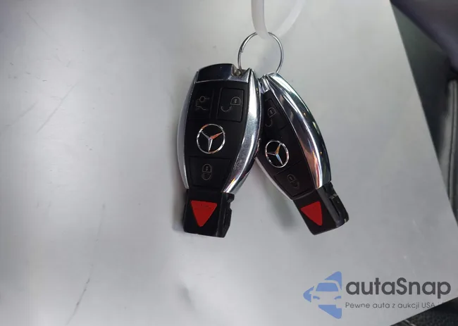 WDDSJ4EB9JN521719: 44340301