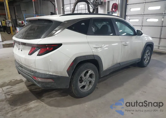 5NMJB3DE0RH306196: 44339860