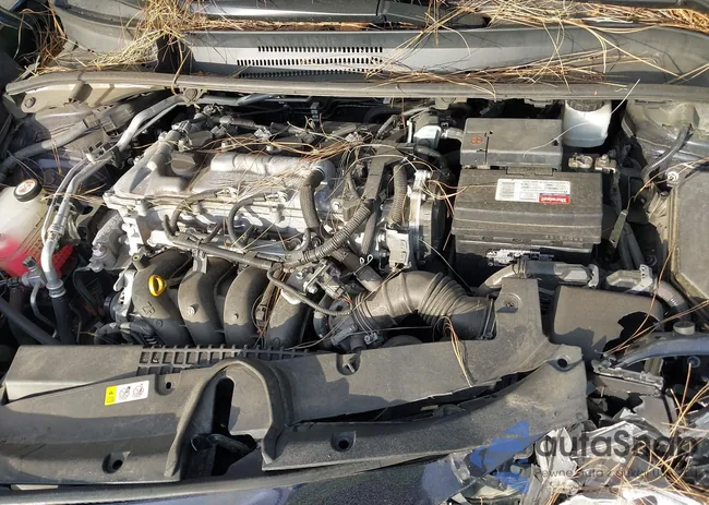 5YFEPMAE1MP158930: 44341071