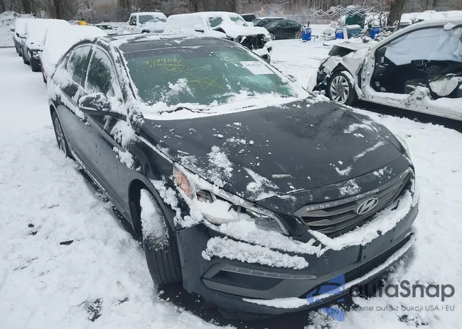 5NPE34AF7HH446880: 44341102