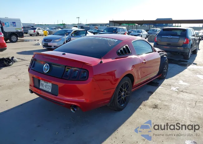 1ZVBP8AM4D5213530: 44341637