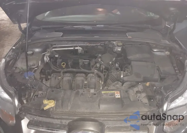 1FADP3F25DL174065: 44341803