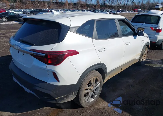 KNDEPCAA2P7431161: 44341958