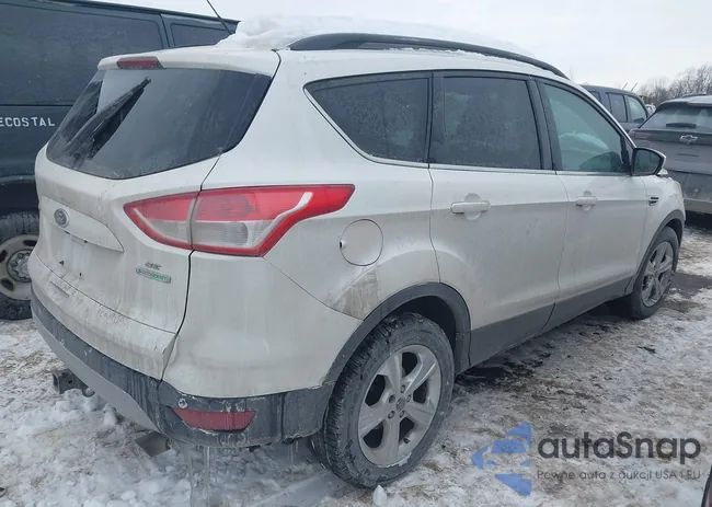 1FMCU0G91EUC06140: 44342606