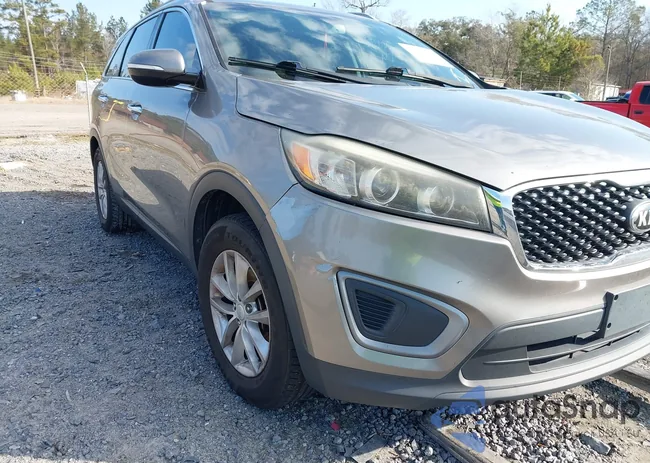 5XYPG4A37GG061604: 44342660