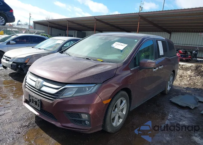 5FNRL6H50KB043050: 44342865