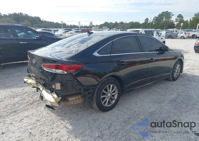 5NPE24AF8JH667364: 44342891