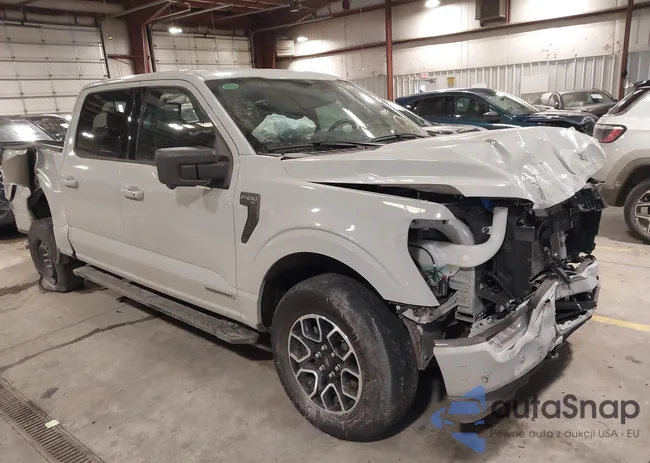 1FTFW1ED6PFD20991: 44343950