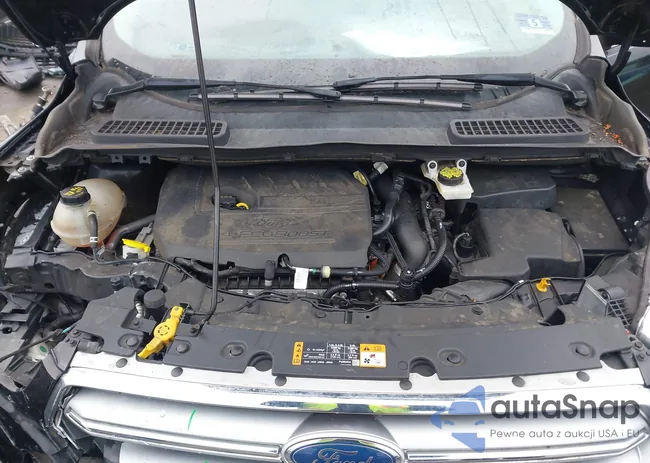 1FMCU9GD4HUA18001: 44344075