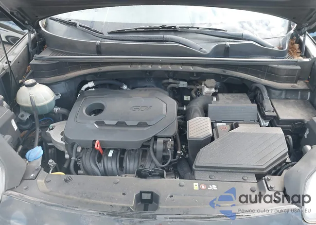 KNDPM3ACXK7571518: 44344167