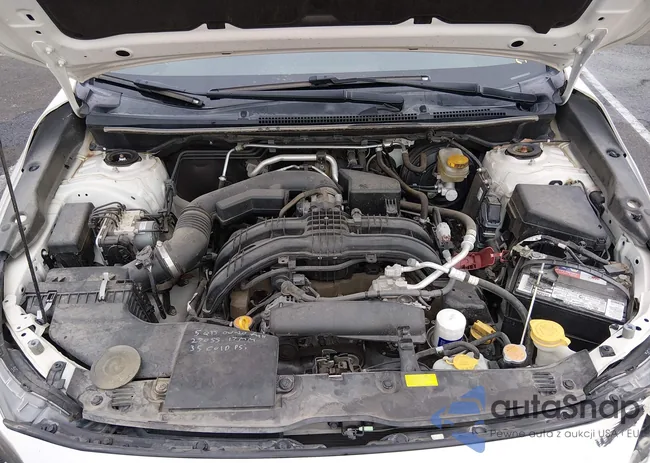 JF2GTAEC7K8280875: 44344344