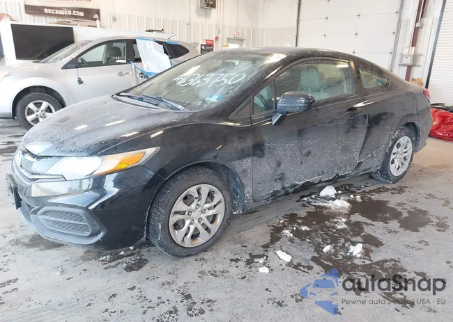 2HGFG3B56FH519625: 44343750