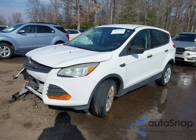 1FMCU0F72EUA18789: 44345394