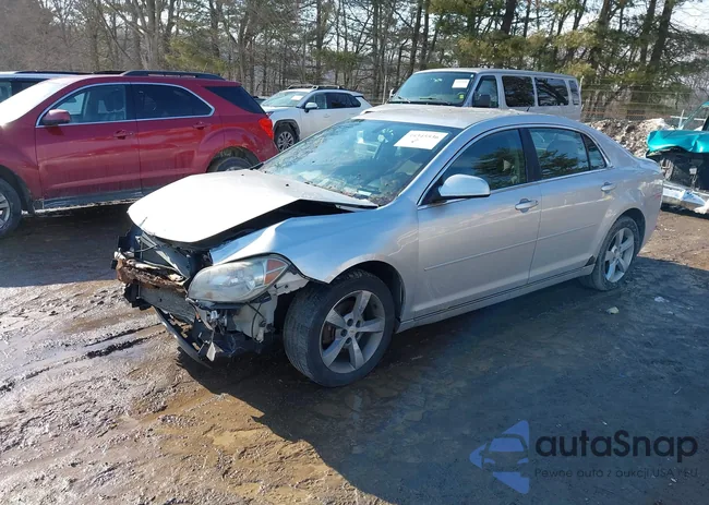 1G1ZC5E12BF288853: 44345536