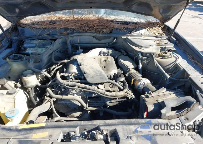 JNRAS08W55X218800: 44344645