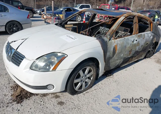 1N4BA41E86C860457: 44344663