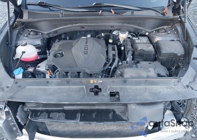 5NMS3DAJ3PH601802: 44346309