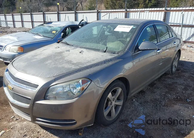 1G1ZC5E06CF234738: 44346518