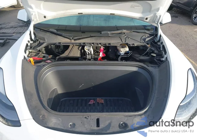 7SAYGDEE7PF828068: 44349166