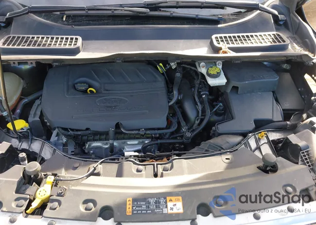 1FMCU9GD1HUC22190: 44349181