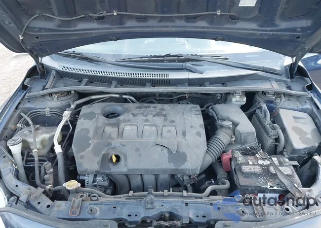 2T1BU4EE5DC920100: 44349493