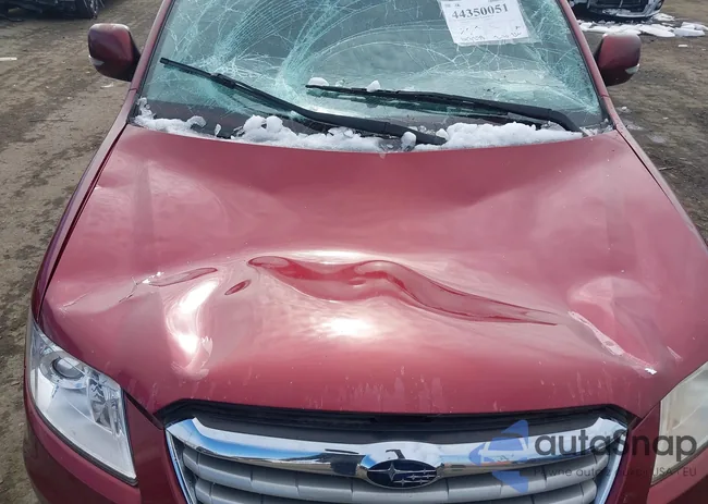 4S4WX9GD0B4401431: 44350051