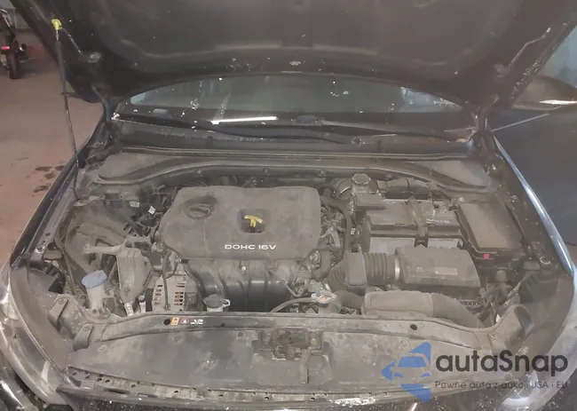 5NPD84LF3HH031937: 44350071