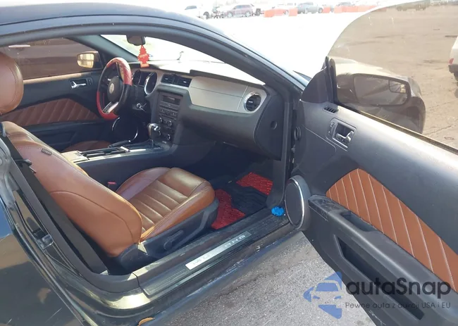 1ZVBP8AM5C5269748: 44350521