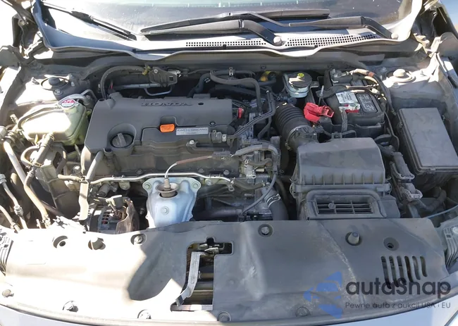 2HGFC2F58HH504305: 44351012