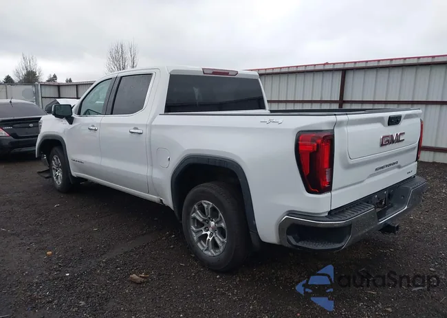 3GTUUDED9RG303859: 44351057