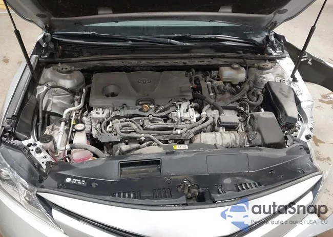 4T1C31AK2LU018101: 44351206