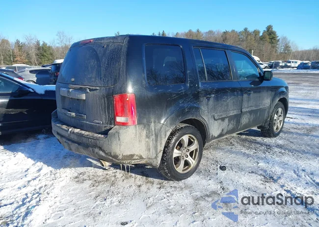 5FNYF4H56EB018858: 44351295