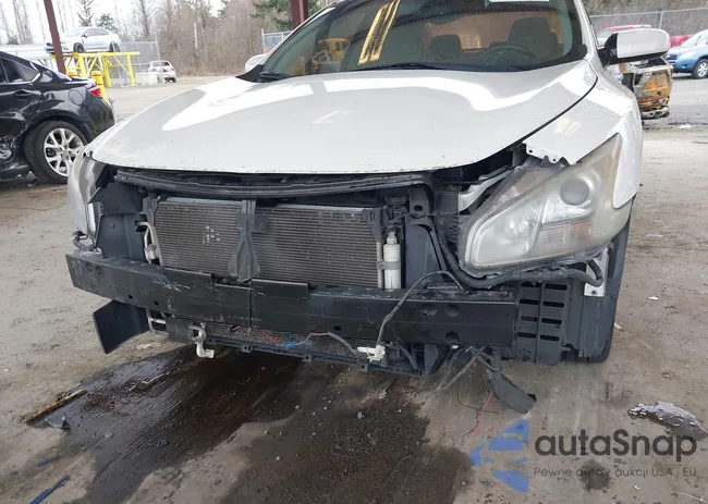 1N4AA5AP7AC820429: 44351603