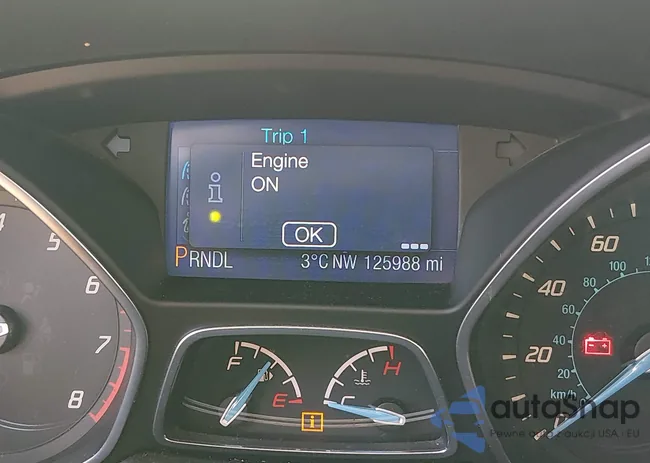 1FADP3F22DL369900: 44351619