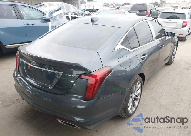 1G6DN5RK8L0146108: 44351871