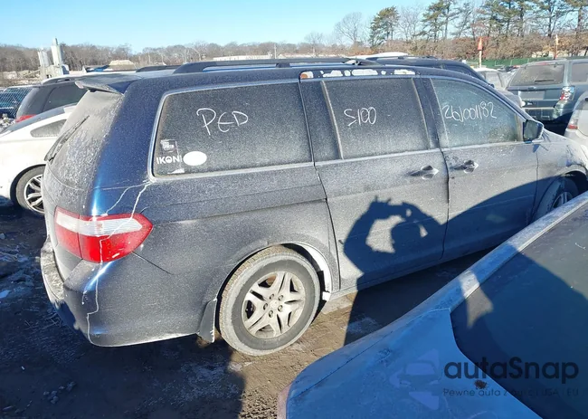 5FNRL38616B045290: 44353964