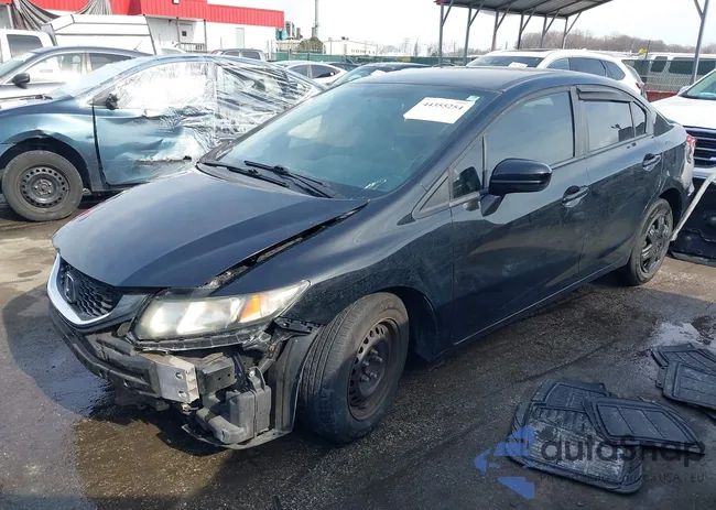 19XFB2F5XEE229299: 44355254